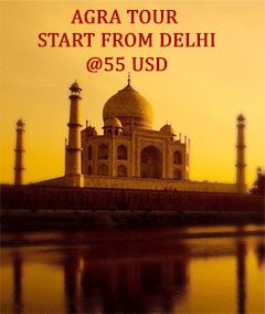Agra Day Tour by Car from Delhi
